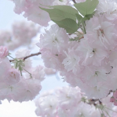 兽设比例设计基础教程FurryQQ群